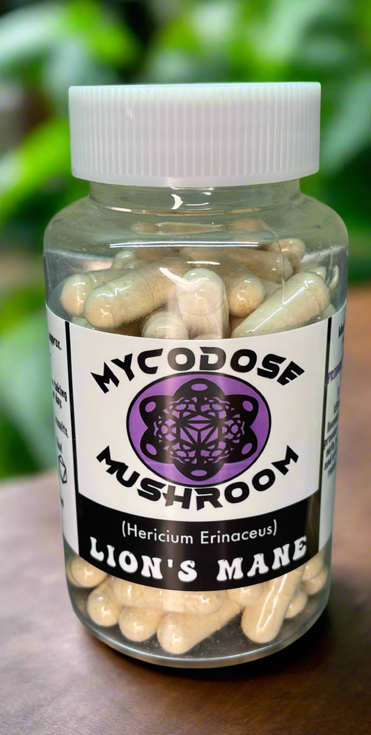 Lion's Mane Mushroom Powder Capsules